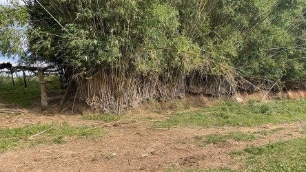 Fazenda de 101 ha em Parobé, RS