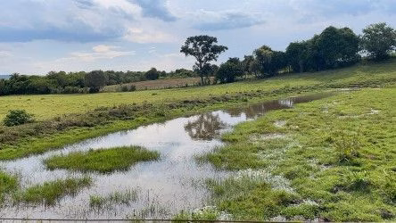 Fazenda de 101 ha em Parobé, RS