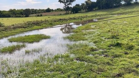 Fazenda de 101 ha em Parobé, RS