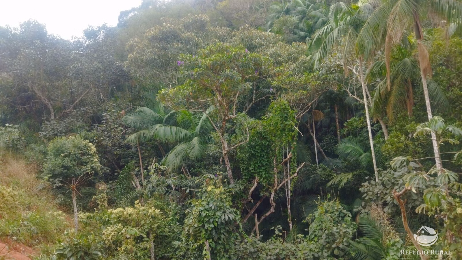 Terreno de 4 ha em São José dos Campos, SP