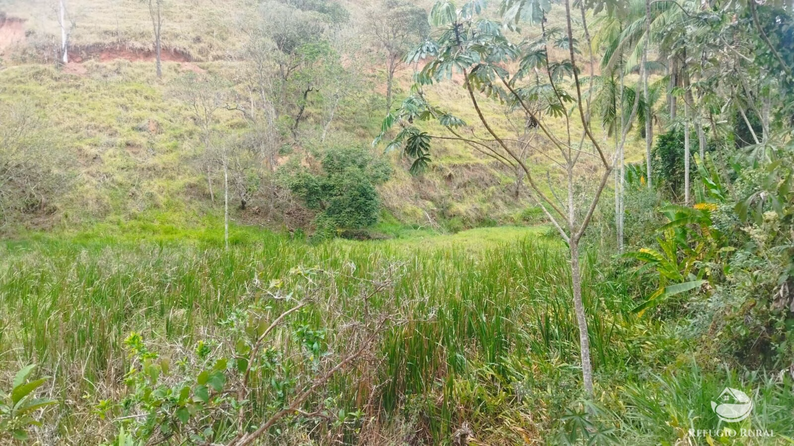 Plot of 10 acres in São José dos Campos, SP, Brazil