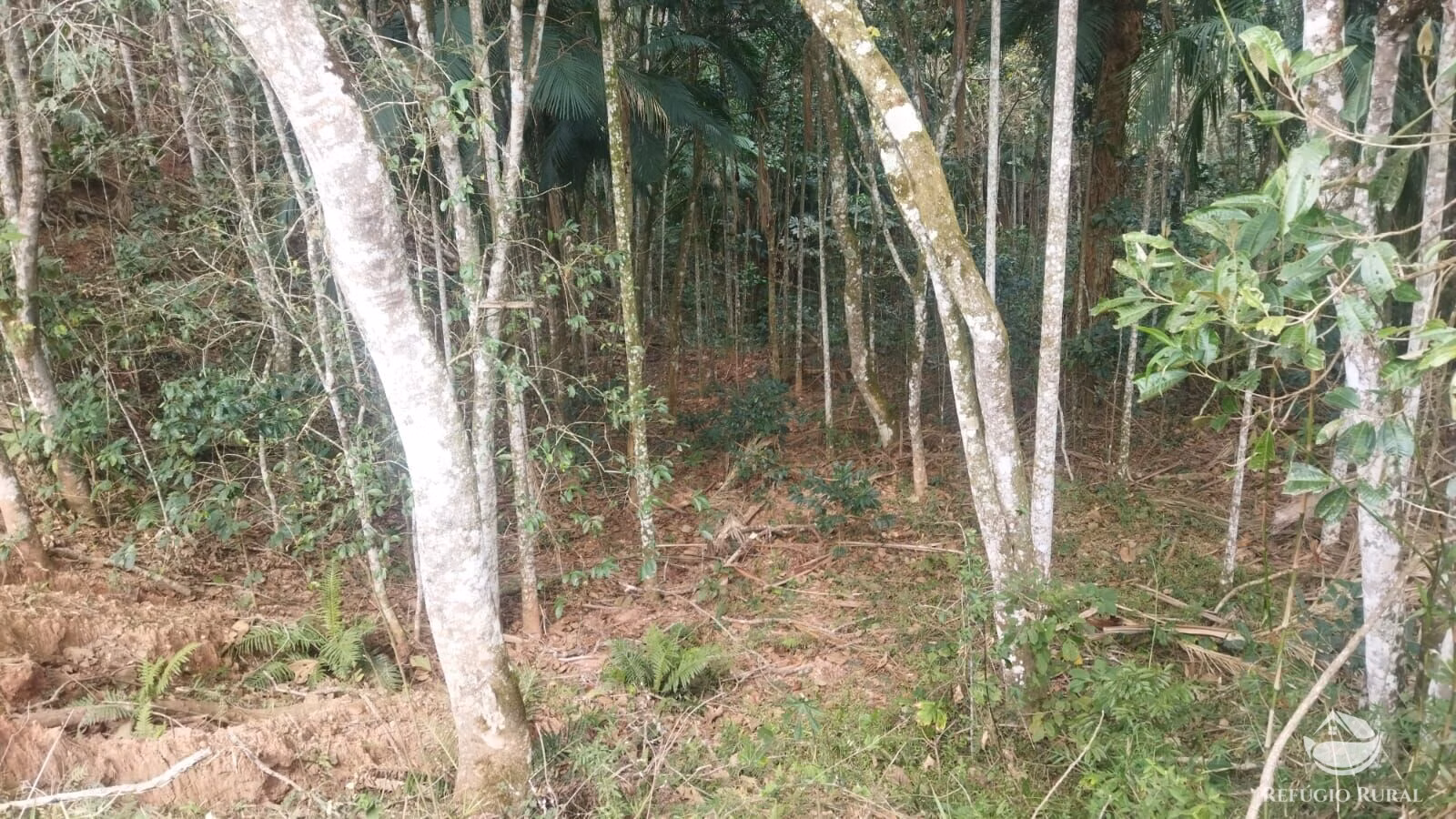 Plot of 10 acres in São José dos Campos, SP, Brazil