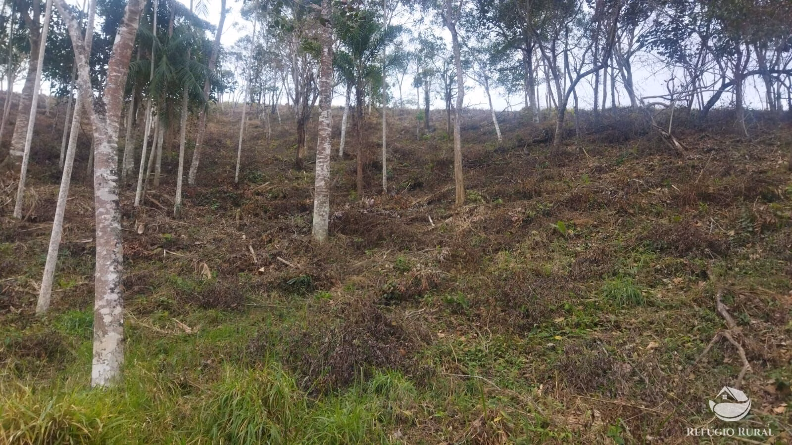 Plot of 10 acres in São José dos Campos, SP, Brazil