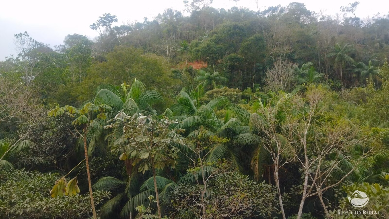 Plot of 10 acres in São José dos Campos, SP, Brazil