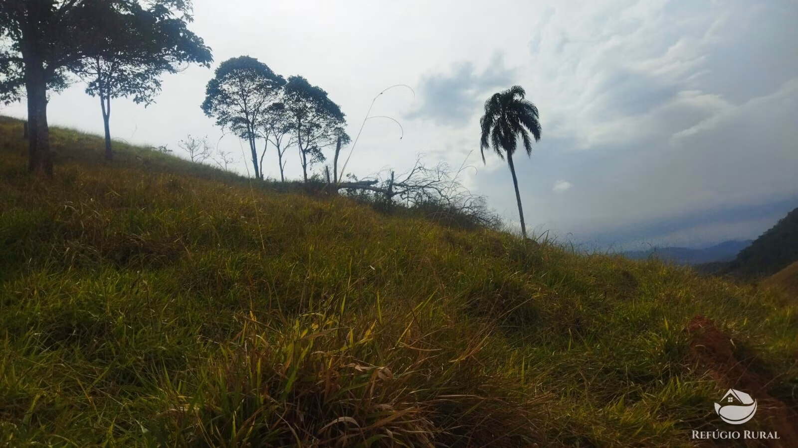 Plot of 10 acres in São José dos Campos, SP, Brazil