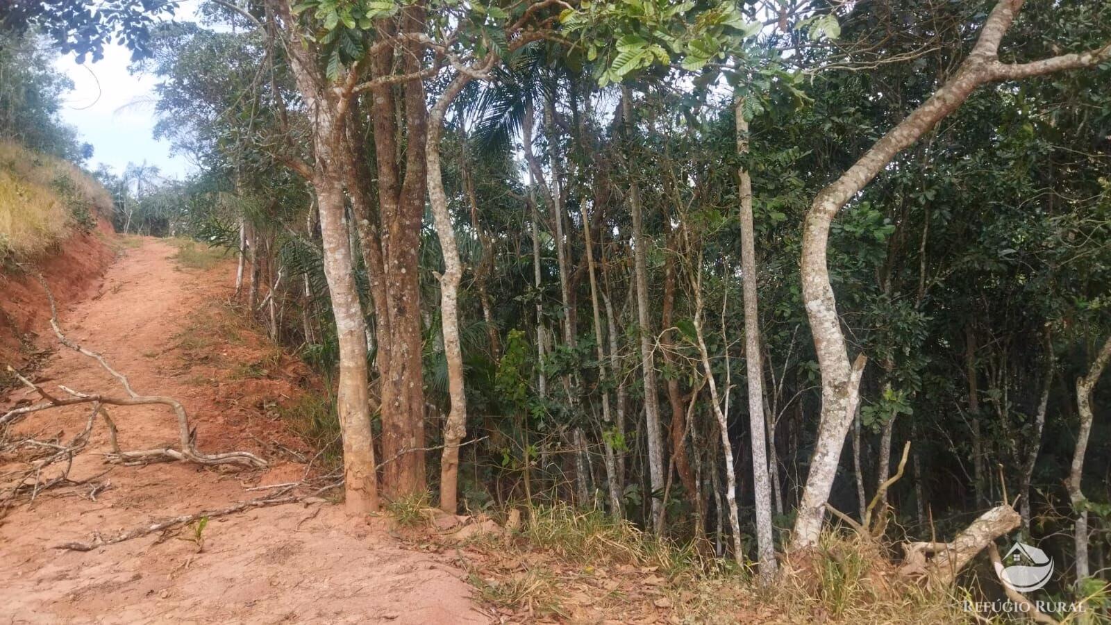 Terreno de 4 ha em São José dos Campos, SP