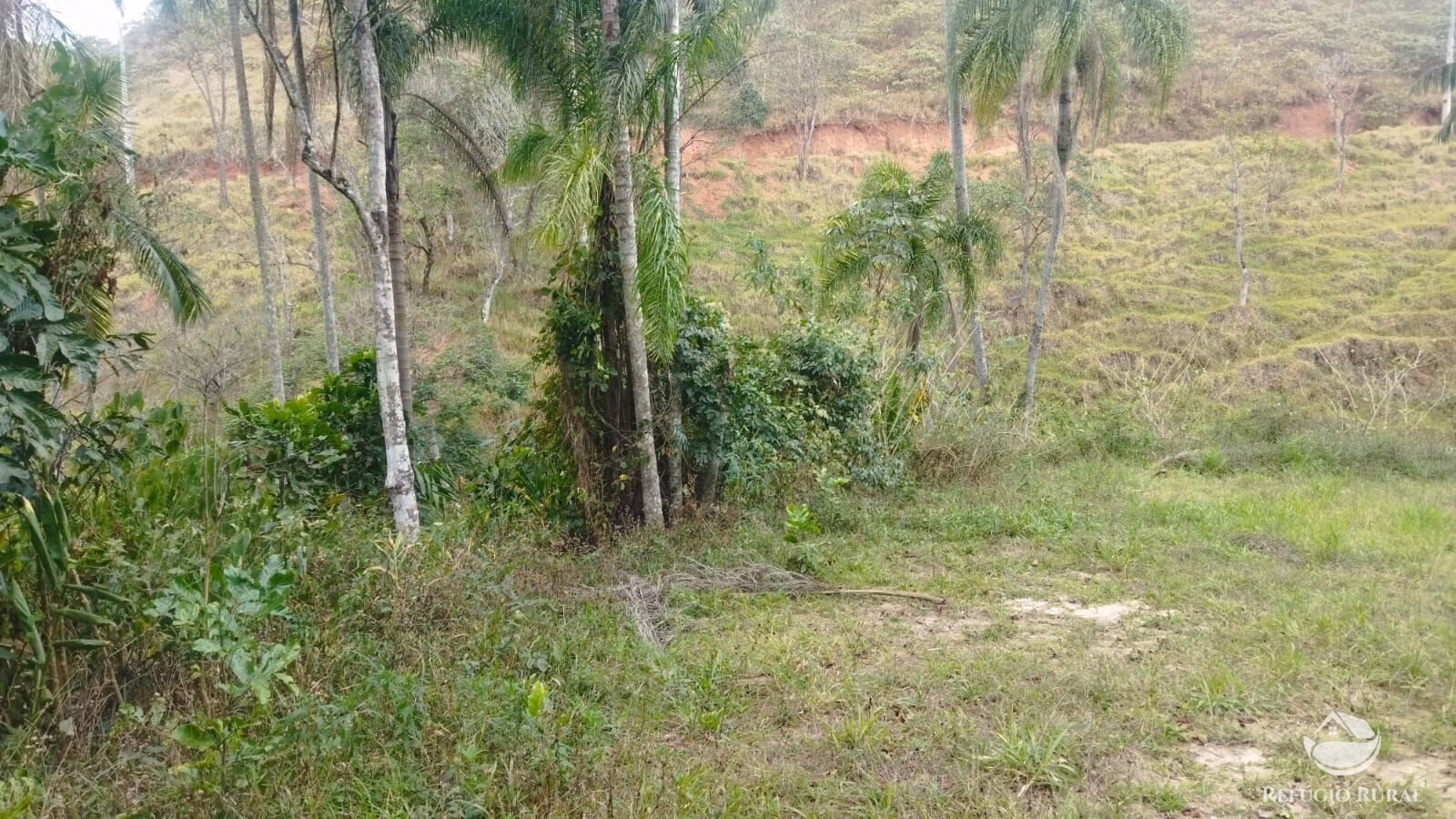 Plot of 10 acres in São José dos Campos, SP, Brazil
