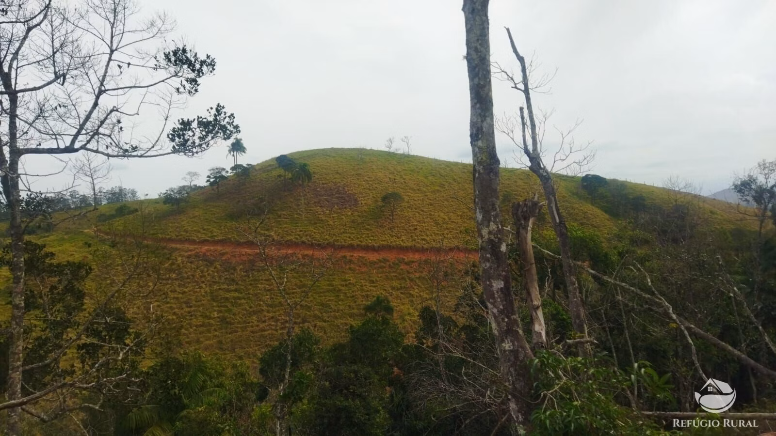Plot of 10 acres in São José dos Campos, SP, Brazil
