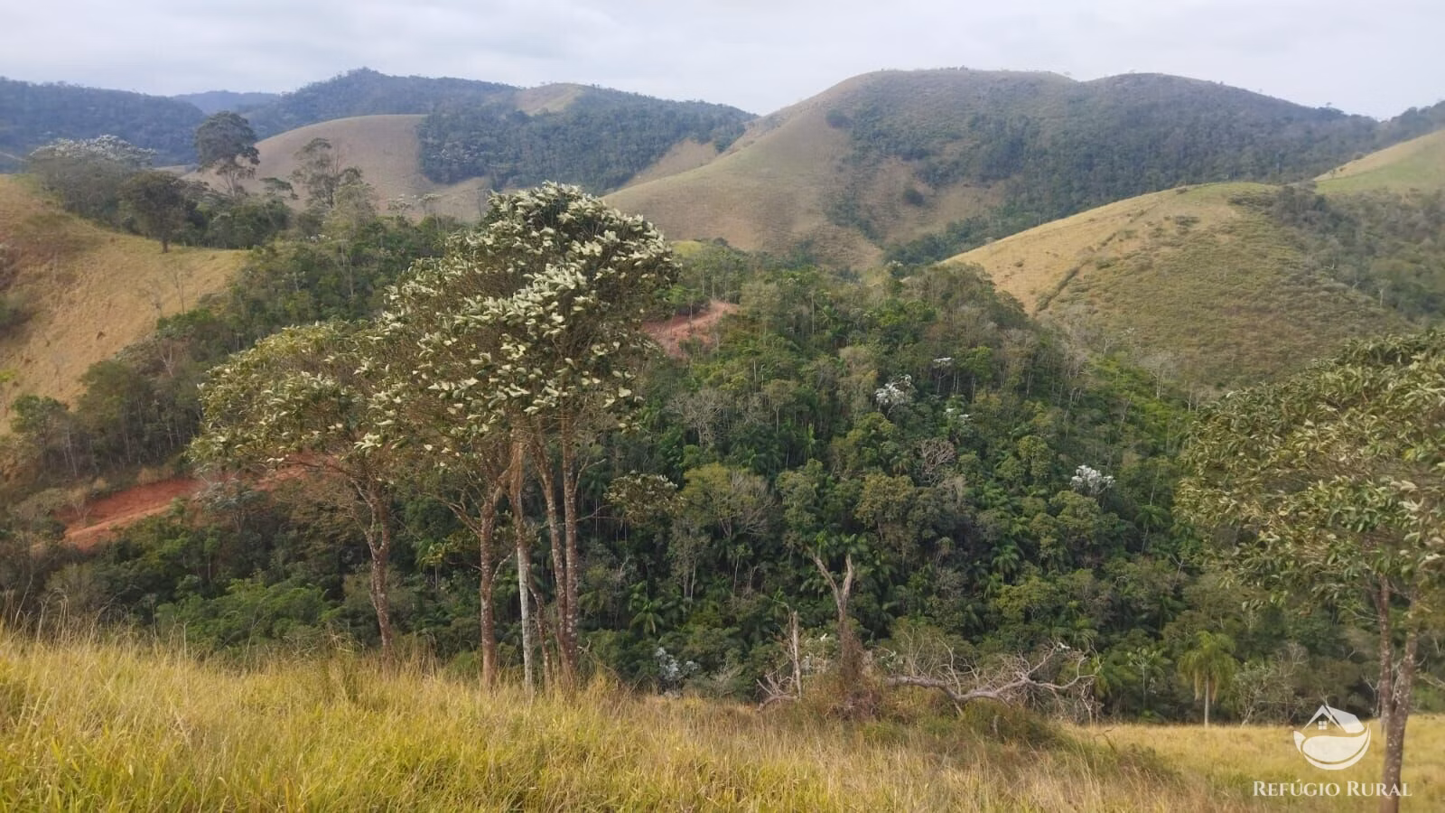 Plot of 10 acres in São José dos Campos, SP, Brazil