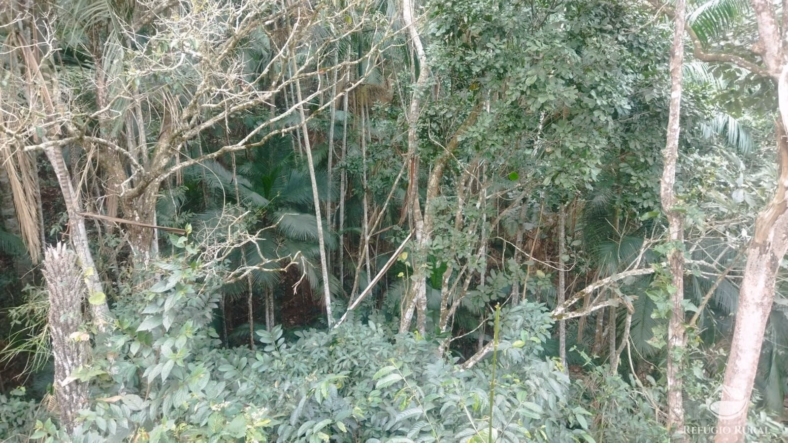 Plot of 10 acres in São José dos Campos, SP, Brazil