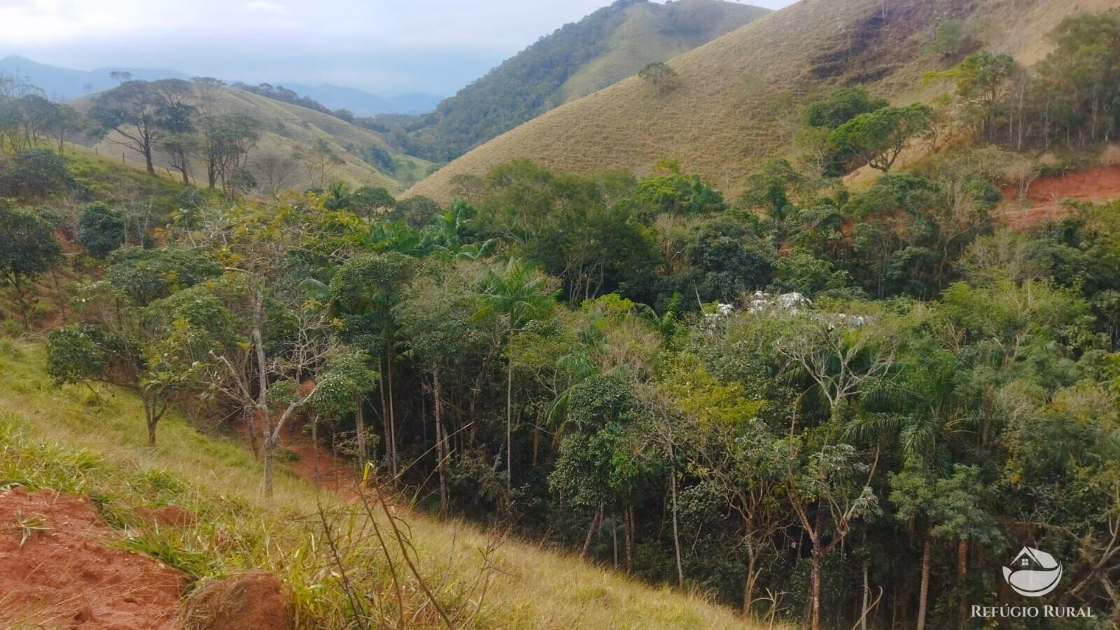 Plot of 10 acres in São José dos Campos, SP, Brazil