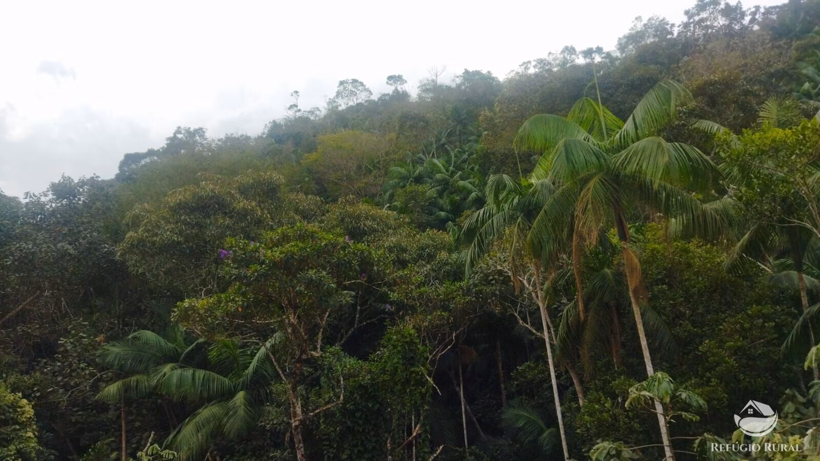 Plot of 10 acres in São José dos Campos, SP, Brazil