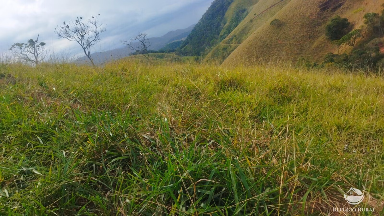 Plot of 10 acres in São José dos Campos, SP, Brazil