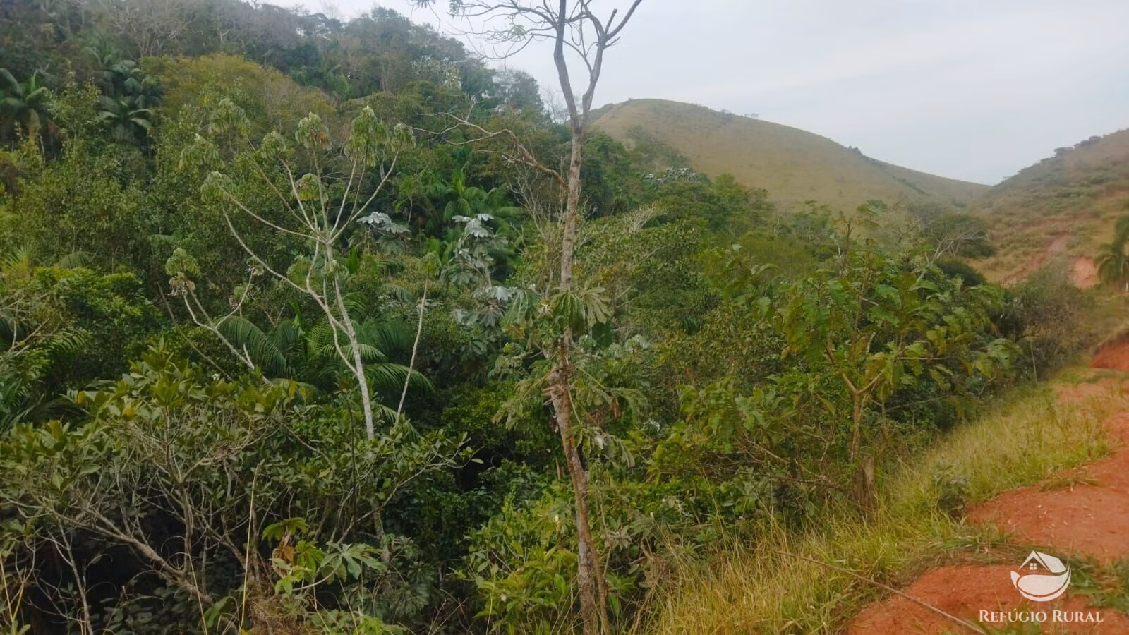 Plot of 10 acres in São José dos Campos, SP, Brazil
