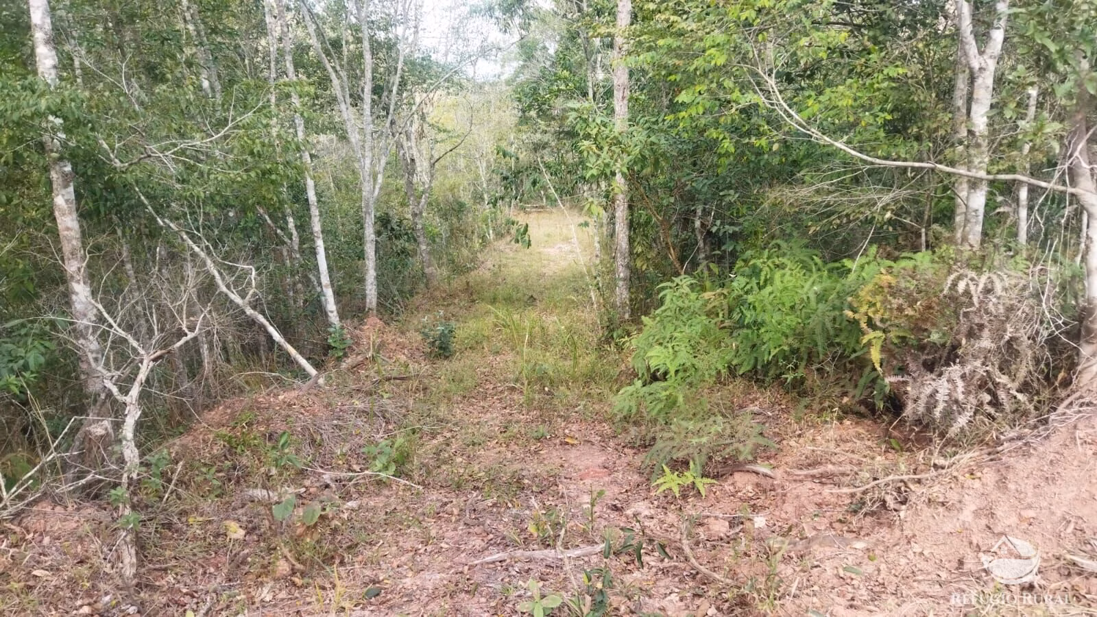 Plot of 10 acres in São José dos Campos, SP, Brazil