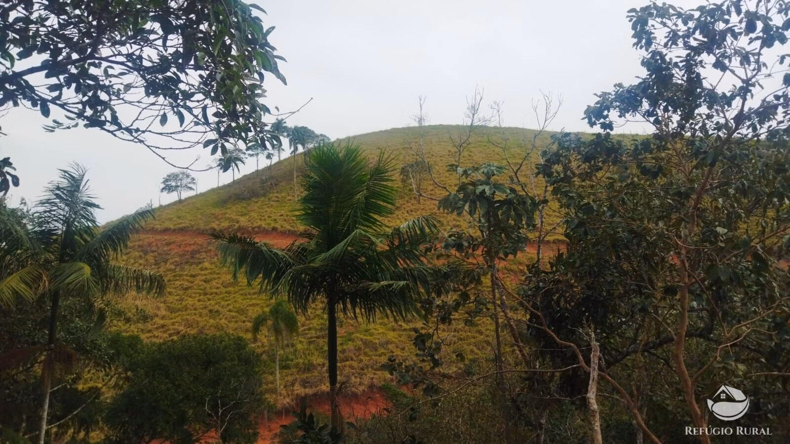 Plot of 10 acres in São José dos Campos, SP, Brazil