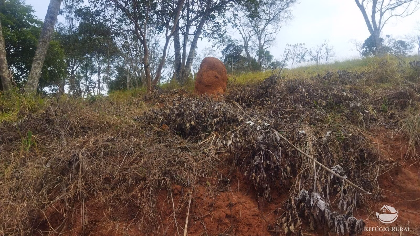 Plot of 10 acres in São José dos Campos, SP, Brazil
