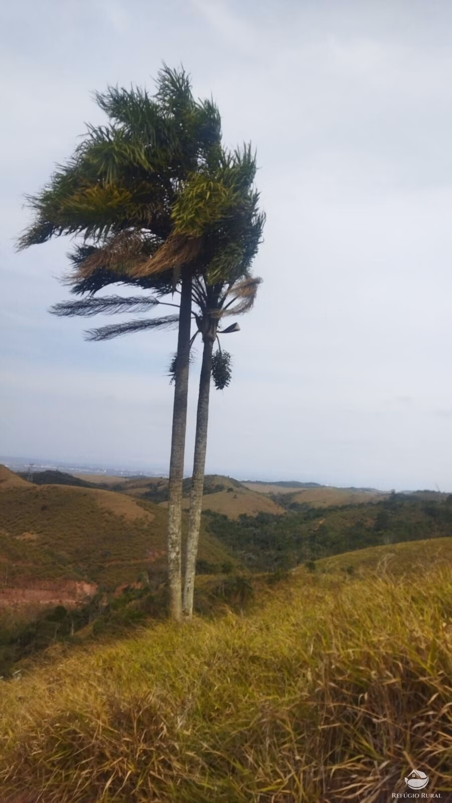 Plot of 10 acres in São José dos Campos, SP, Brazil