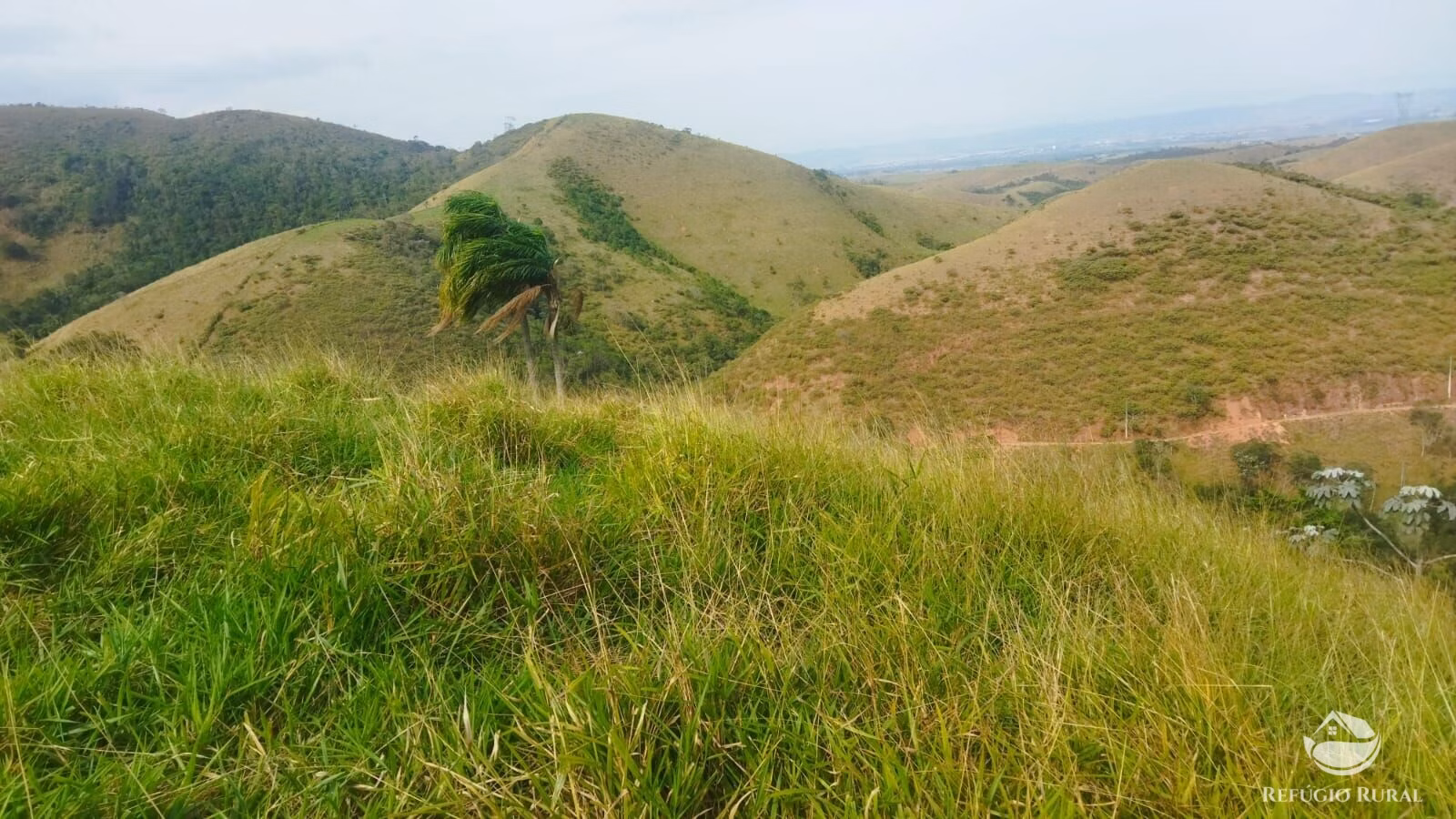 Plot of 10 acres in São José dos Campos, SP, Brazil
