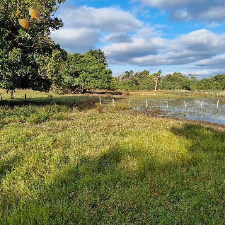 Farm of 6,296 acres in Poconé, MT, Brazil