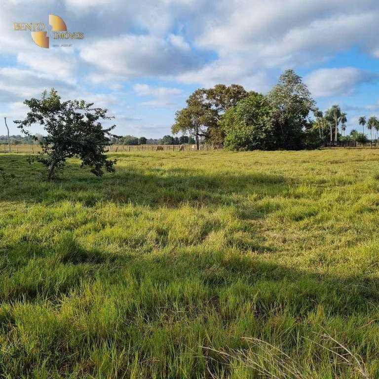 Farm of 6,296 acres in Poconé, MT, Brazil