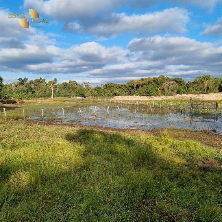 Farm of 6,296 acres in Poconé, MT, Brazil
