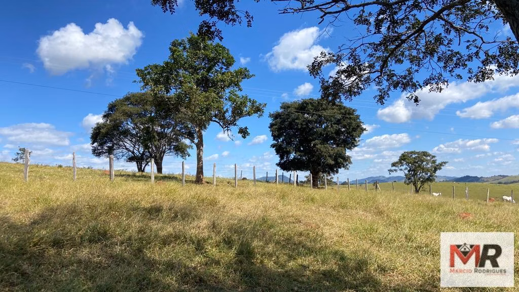 Small farm of 10 acres in Inconfidentes, MG, Brazil