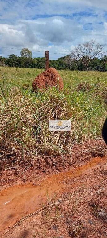 Fazenda de 4.298 ha em Araguaína, TO