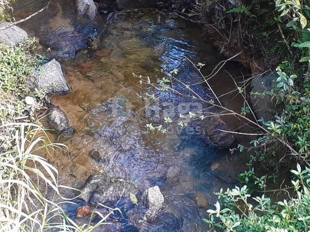Chácara de 3 ha em Benedito Novo, SC