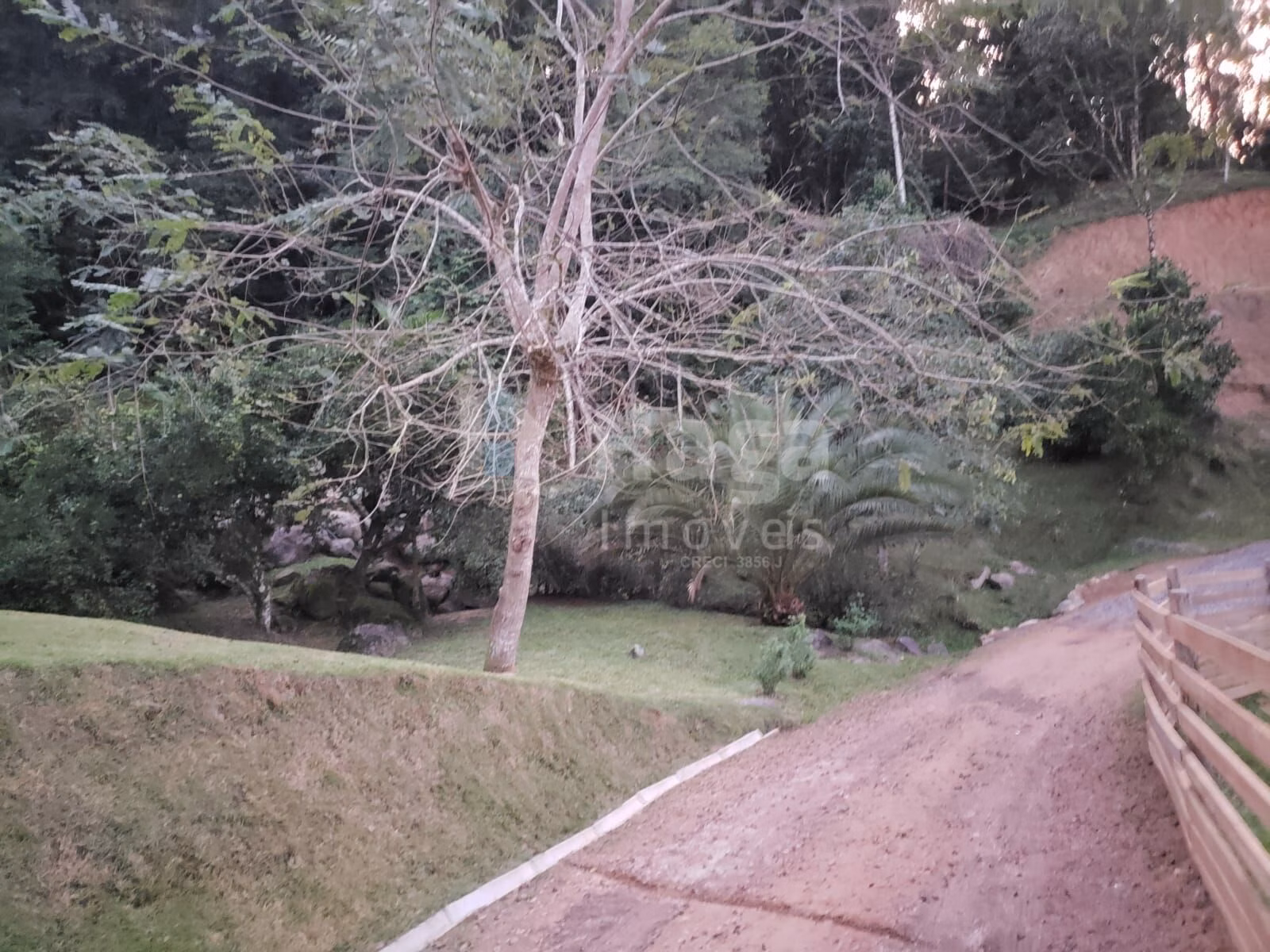 Chácara de 3 ha em Benedito Novo, SC