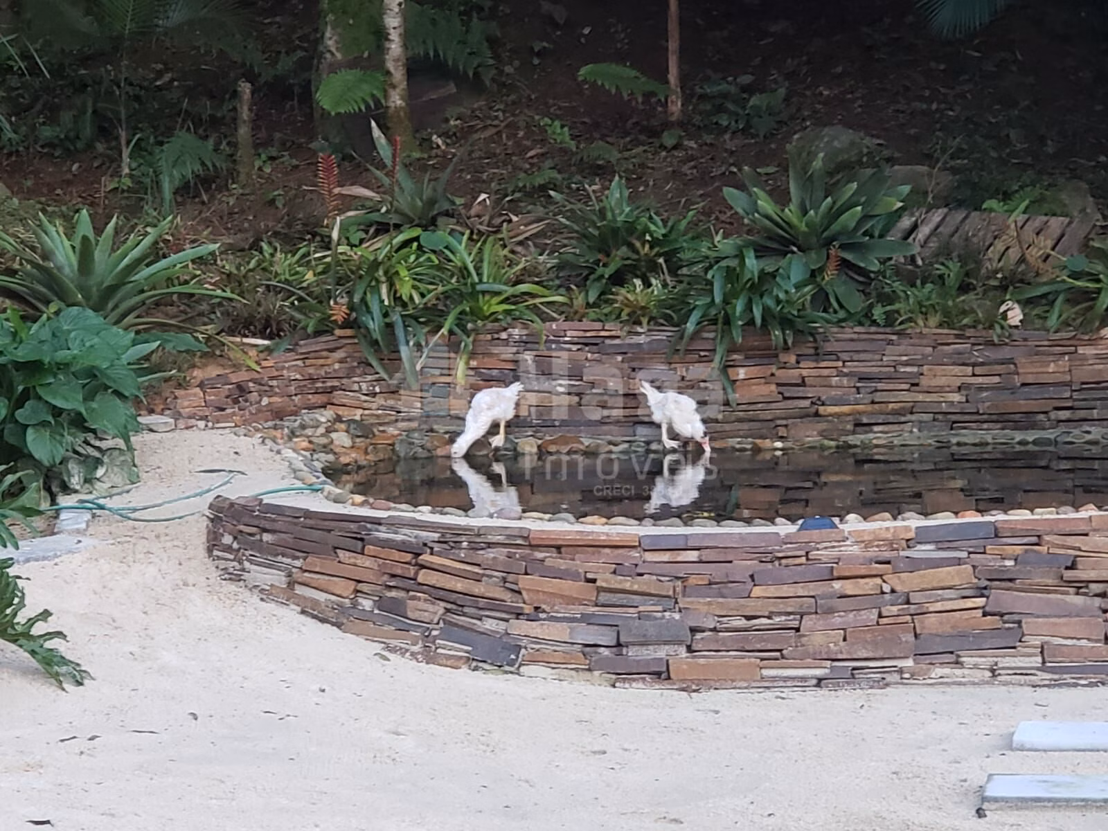 Chácara de 3 ha em Benedito Novo, SC