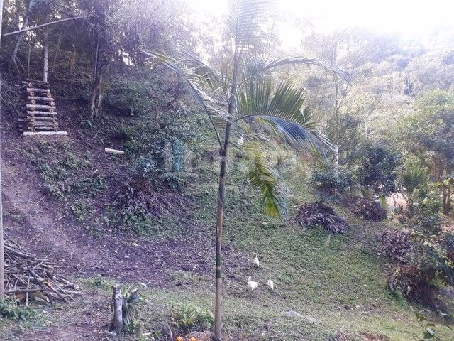 Chácara de 3 ha em Benedito Novo, SC