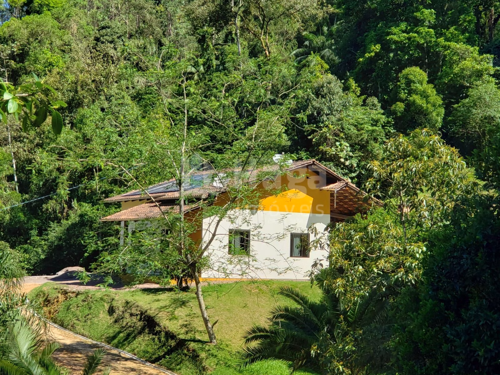 Chácara de 3 ha em Benedito Novo, SC