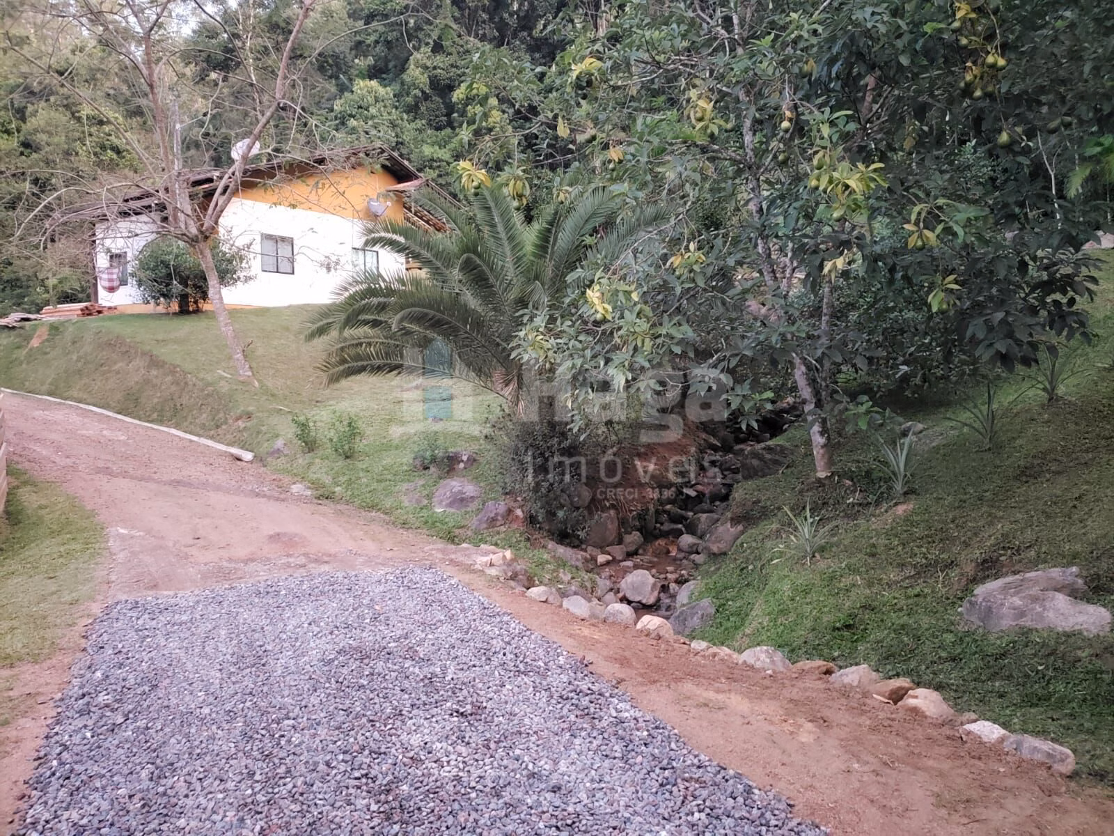 Chácara de 3 ha em Benedito Novo, SC