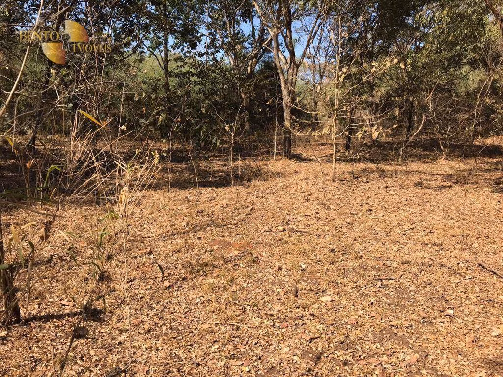Farm of 1,275 acres in Paranatinga, MT, Brazil