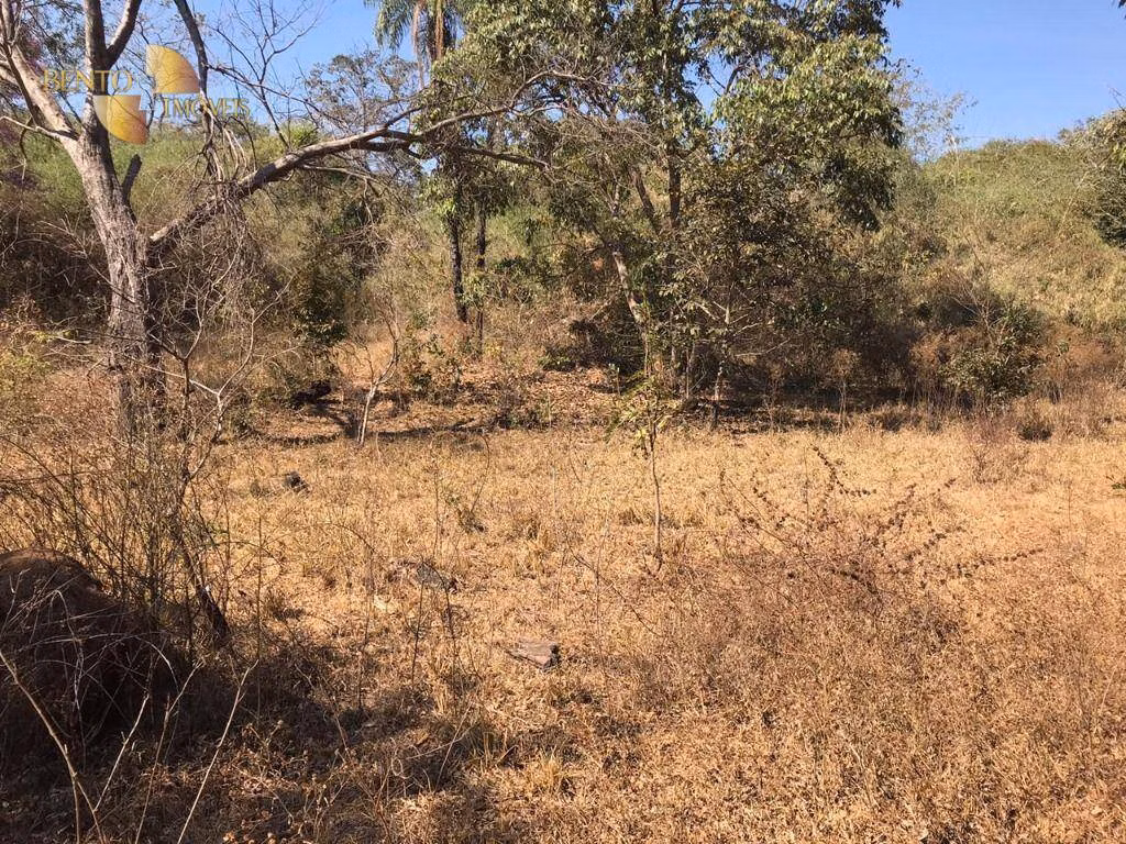 Farm of 1,275 acres in Paranatinga, MT, Brazil