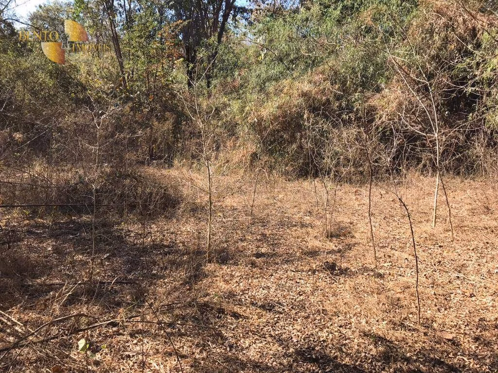 Farm of 1,275 acres in Paranatinga, MT, Brazil