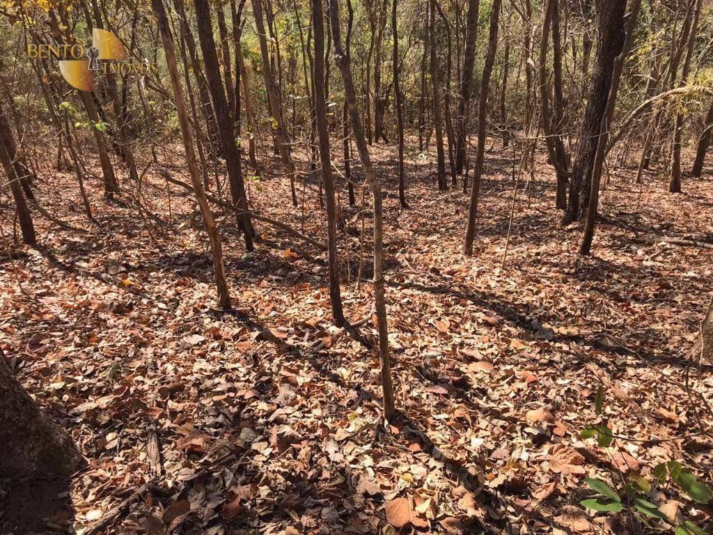 Farm of 1,275 acres in Paranatinga, MT, Brazil