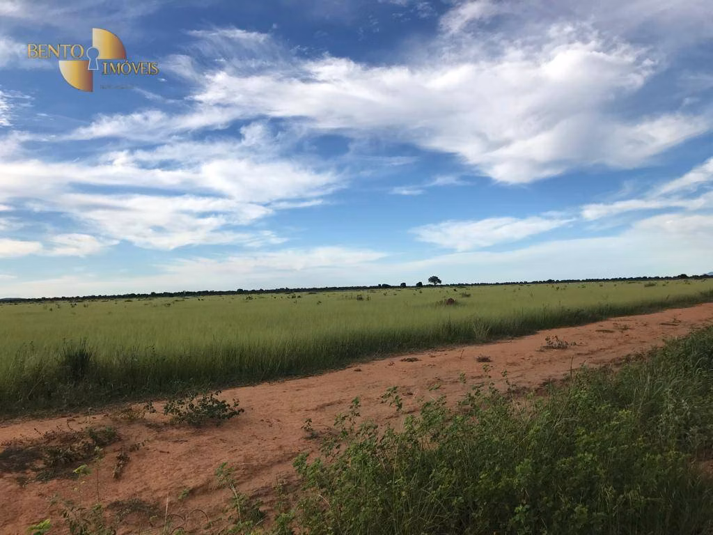 Fazenda de 709 ha em Cocalinho, MT