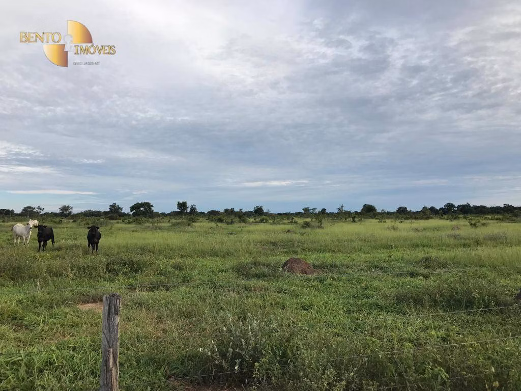 Fazenda de 709 ha em Cocalinho, MT