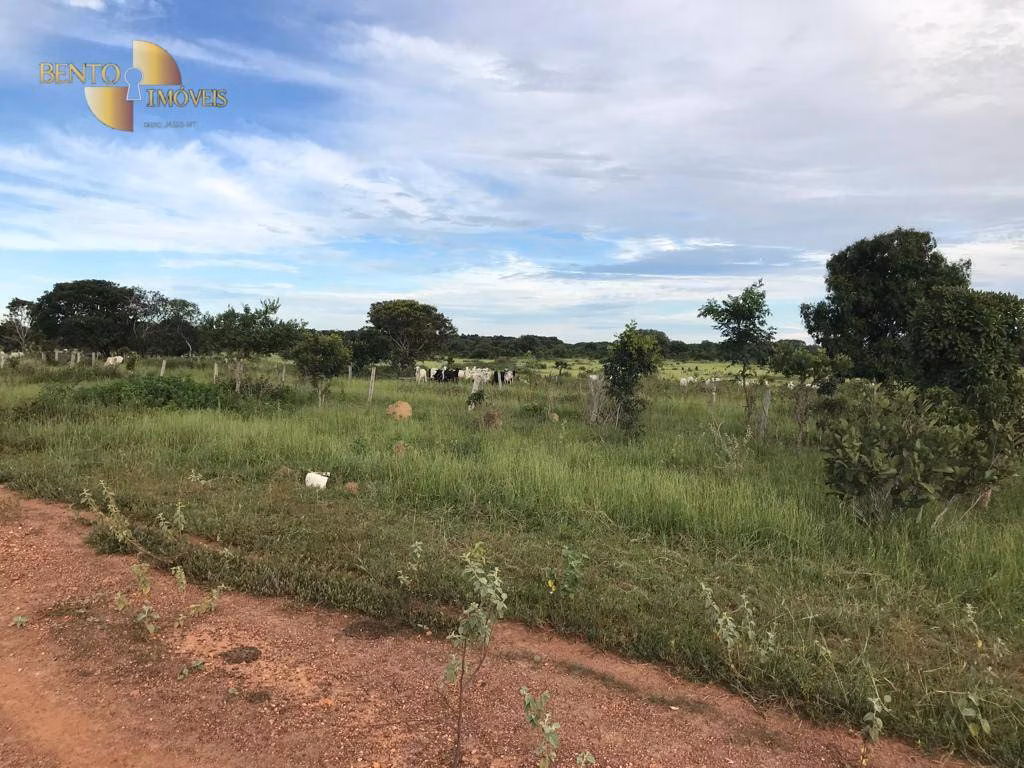 Fazenda de 709 ha em Cocalinho, MT