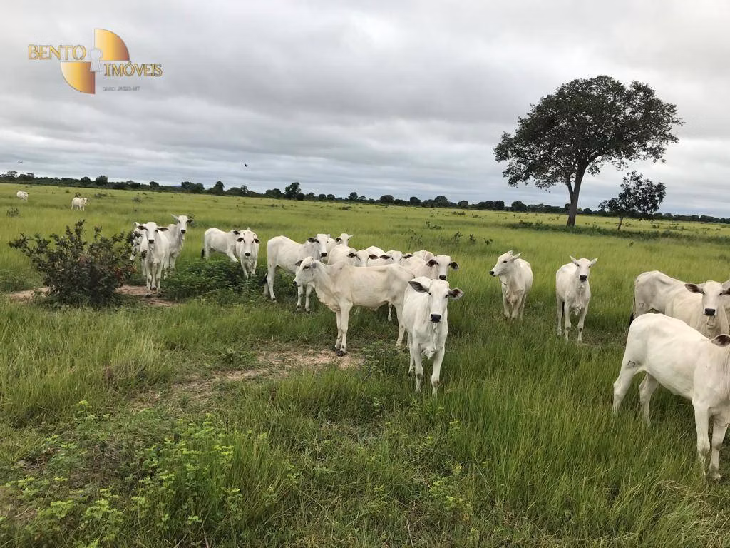 Fazenda de 709 ha em Cocalinho, MT