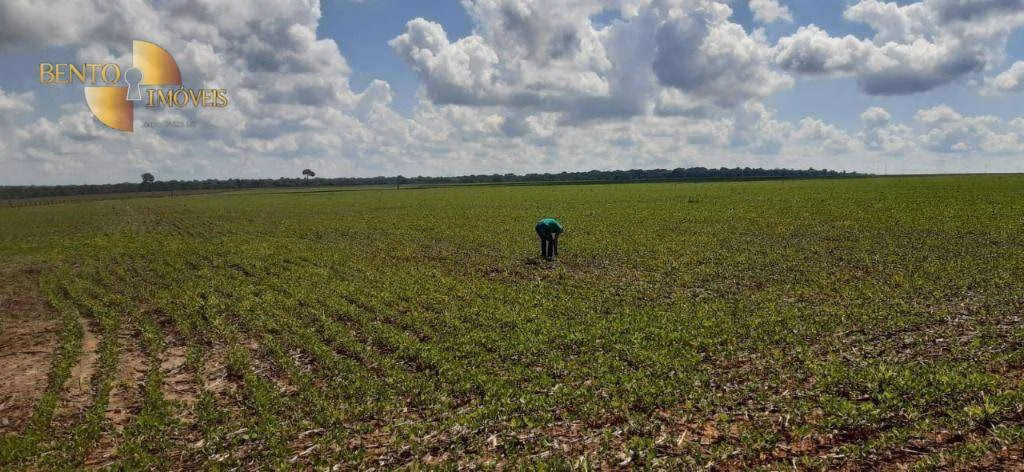 Fazenda de 21.154 ha em Pontes e Lacerda, MT