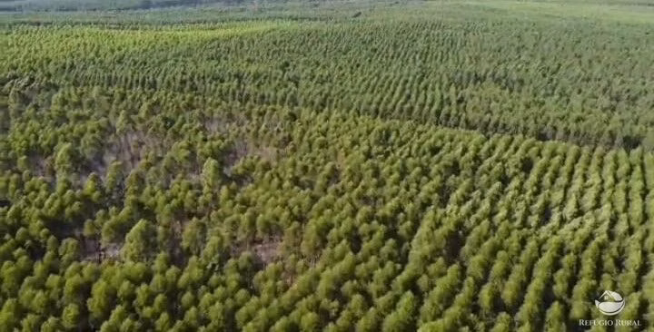 Fazenda de 14.456 ha em Wanderlândia, TO