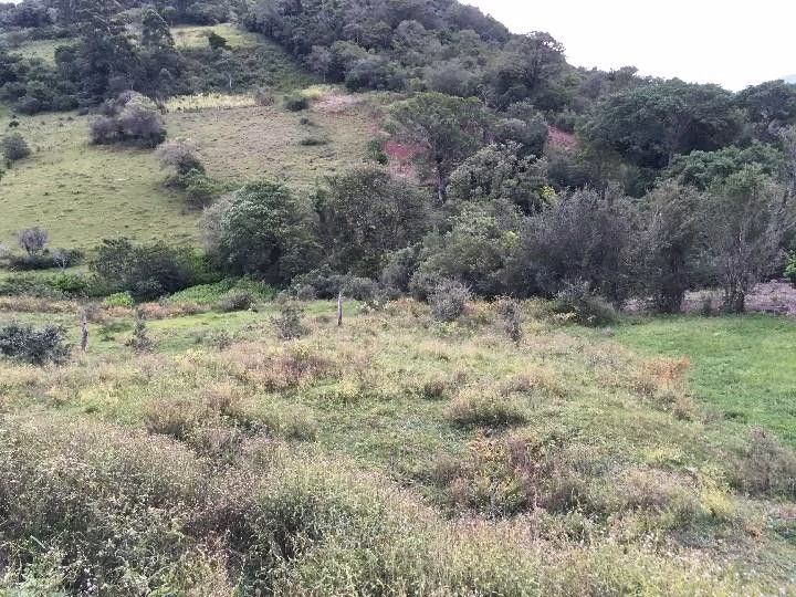 Small farm of 13 acres in Santo Antônio da Patrulha, RS, Brazil