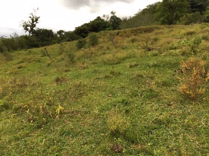 Small farm of 13 acres in Santo Antônio da Patrulha, RS, Brazil
