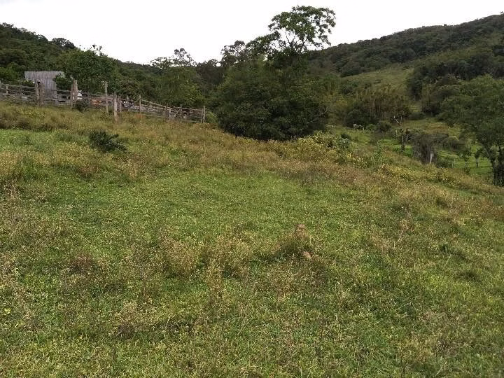 Small farm of 13 acres in Santo Antônio da Patrulha, RS, Brazil