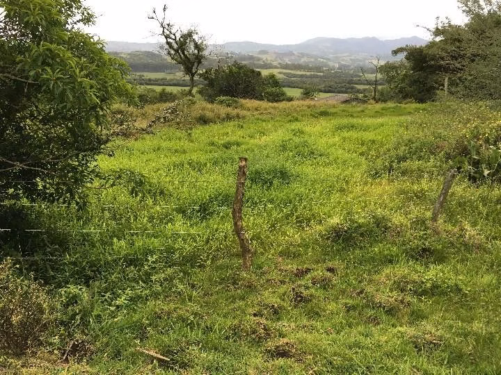 Small farm of 13 acres in Santo Antônio da Patrulha, RS, Brazil