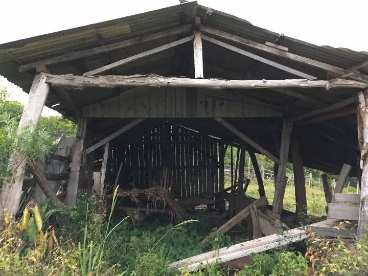 Small farm of 13 acres in Santo Antônio da Patrulha, RS, Brazil