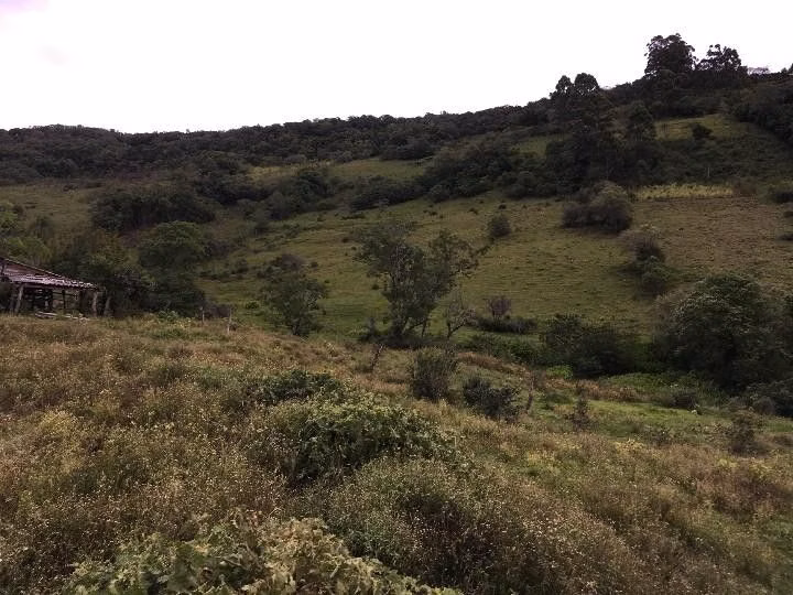 Small farm of 13 acres in Santo Antônio da Patrulha, RS, Brazil